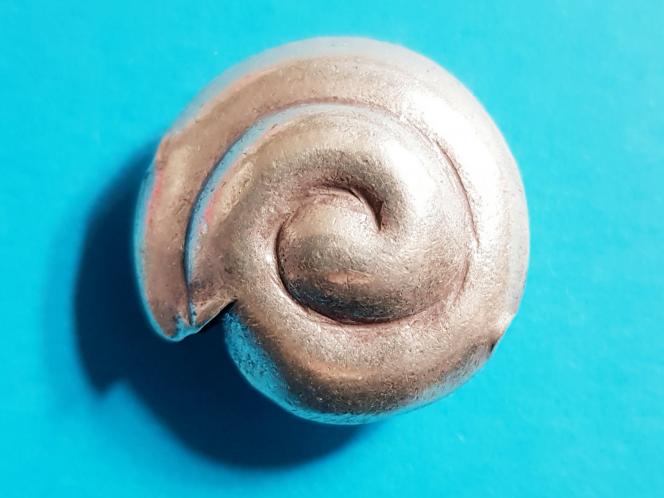 Schnecke, ca. 24 mm, 925/- Silber 